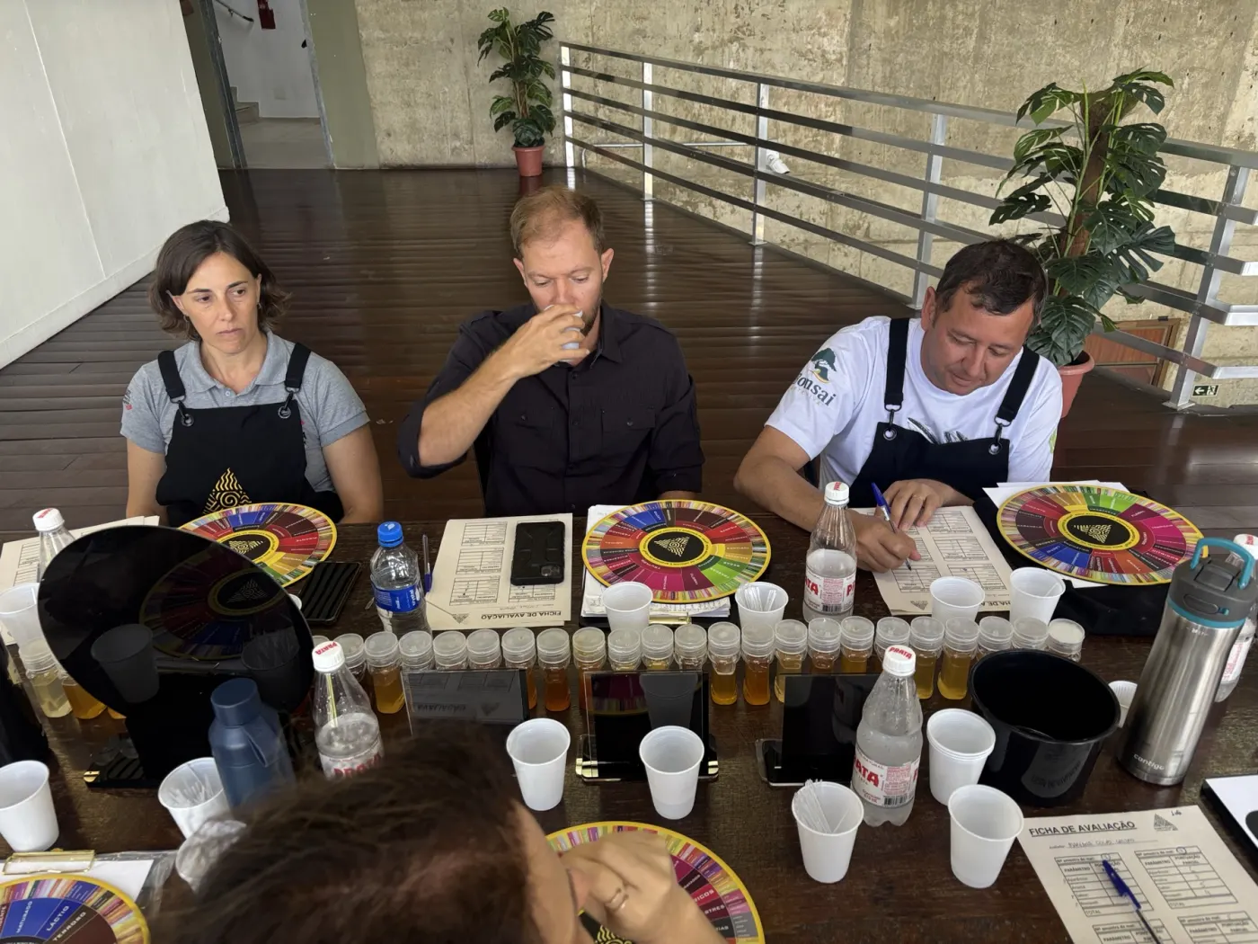 Avaliação técnica de mel em concurso